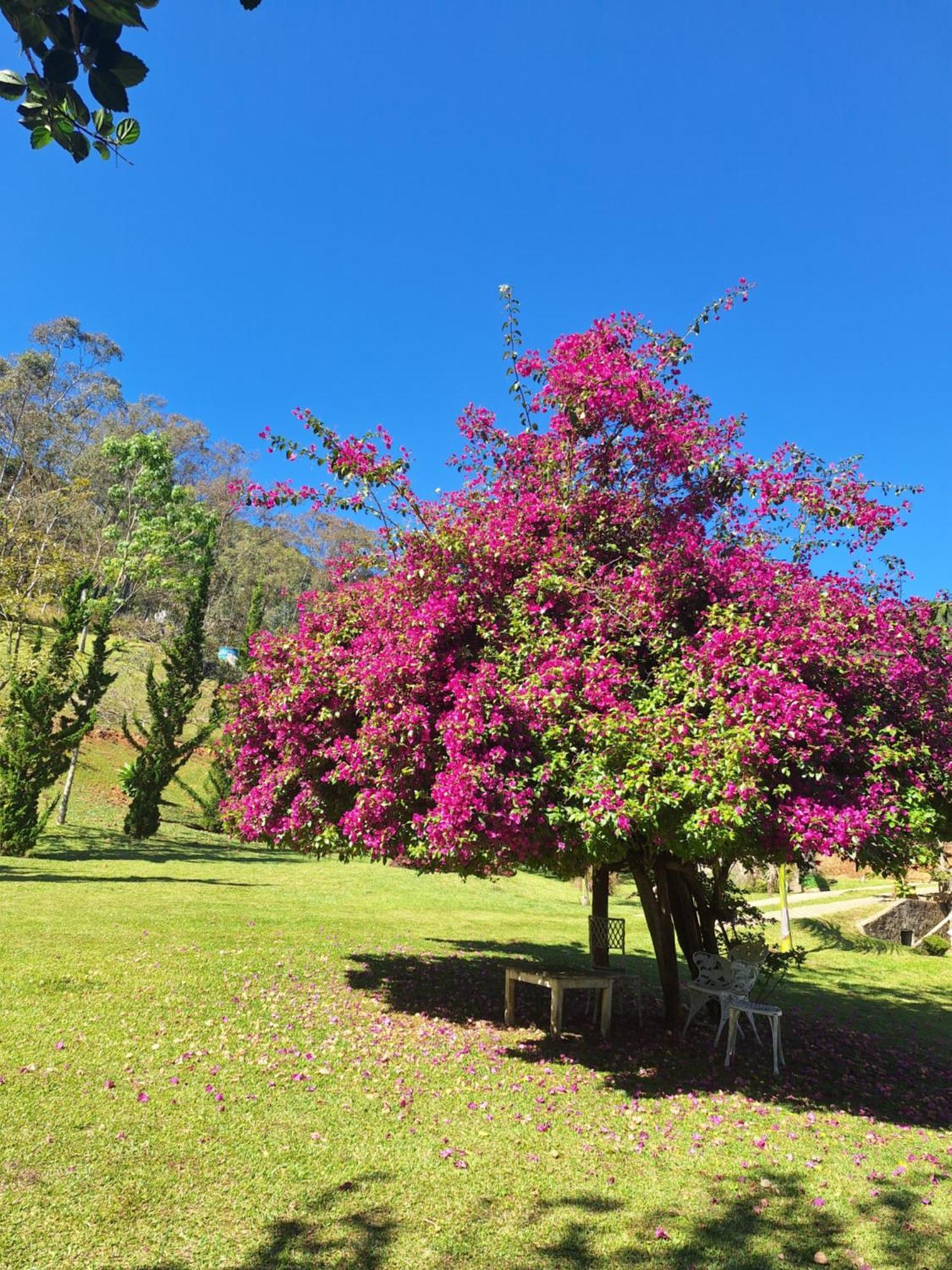 Pousada Vista Linda São Bento do Sapucaí Exterior foto